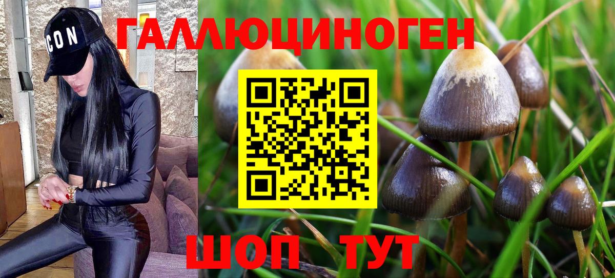 Псилоцибиновые грибы Magic Shrooms Луховицы