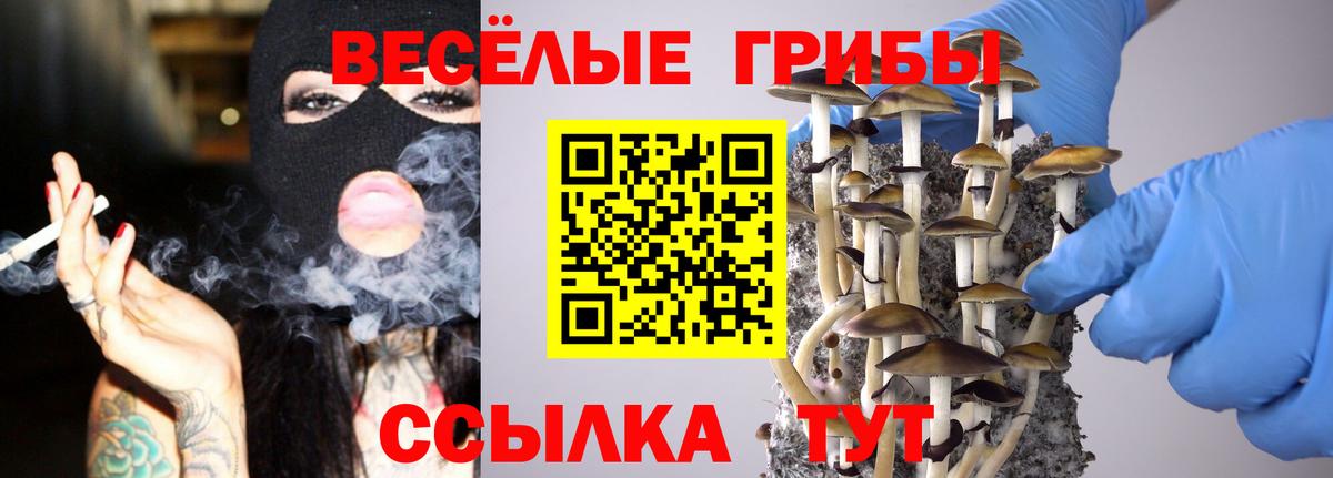 Псилоцибиновые грибы MAGIC MUSHROOMS  Вход с VPN  Луховицы 